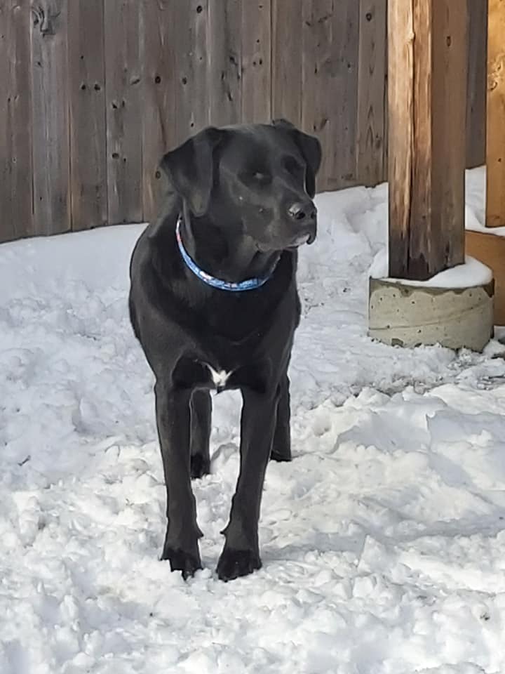 doug in back yard 27 dec