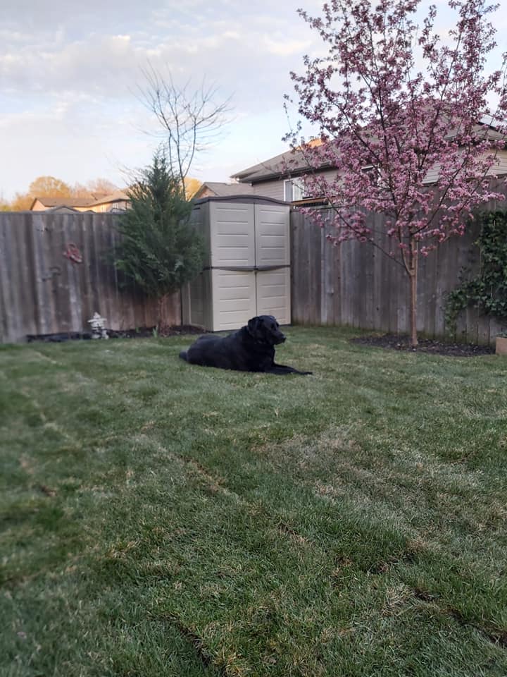 doug in backyard after