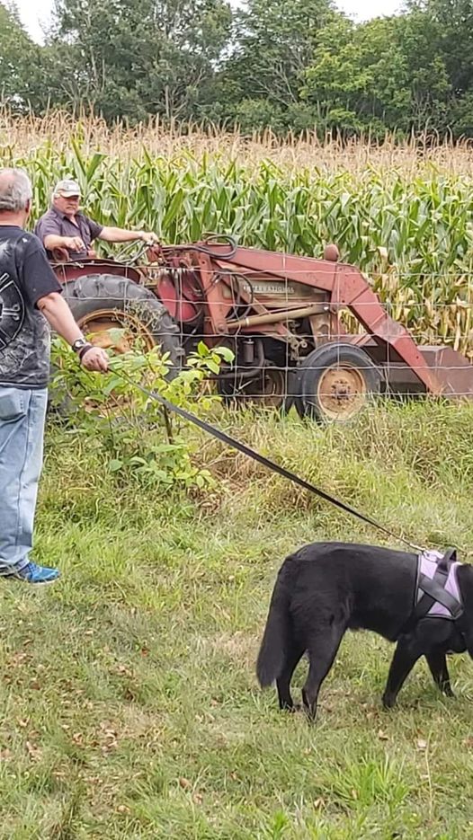 neighbour jeff and tractor