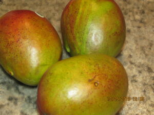 Mangoes 2