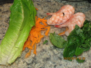 Spring Roll Ingredients