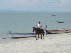 caballero farallon