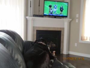 Zeke watching football 6