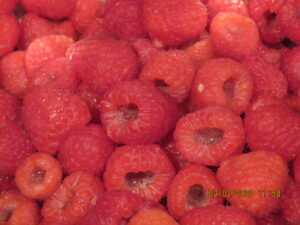 raspberries 2