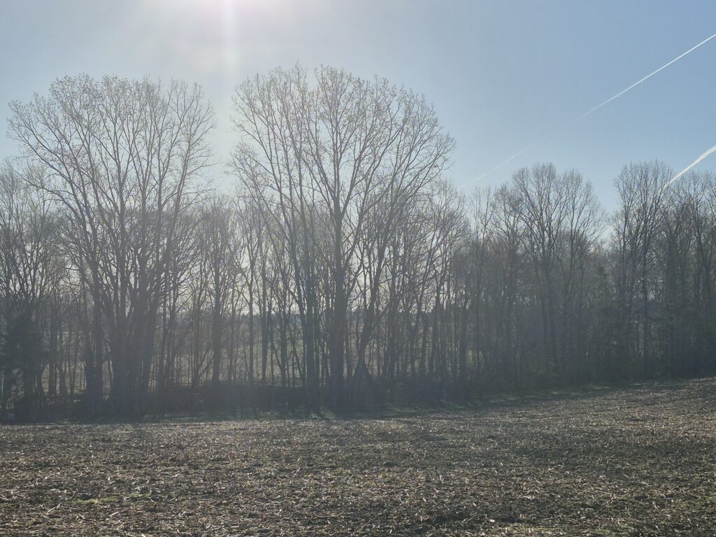 20260423_081526